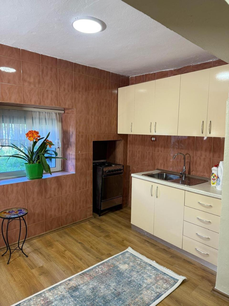 Shkodra Guest House & Trips Bagian luar foto